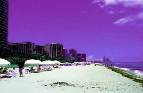 North Miami Cottage | 1 bedroom Miami Beach Florida.