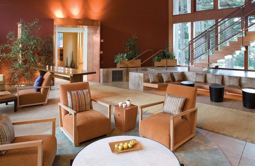 Sausalito Hotel | 1-Bedroom Suite at a 4.5⭐️ Hotel