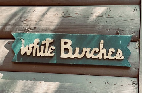 Northport Cabin | 1 BR Cozy Log Cabin W & Deck & Picnic Table