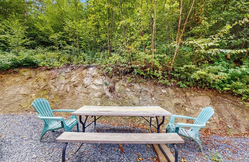 Waitsfield Cabin | 1 BR Tiny House, Window AC, BBQ, Fire Pit, W & D