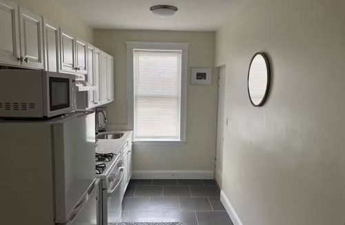 North Brookline Apartment | 1 FREE parking spot Coolidge Corner 1 bed Apt