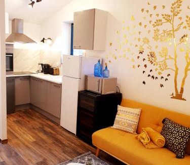 Saint-Affrique Apartment | 1 Liberte - TRIPLEX