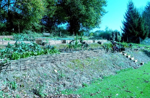 Vernoux-en-Gatine House | 1 of 3 Gites set in 2 lovely acres-Pool-Games field -Wifi-lots to see/do nearby