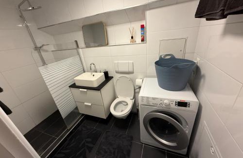 Unterageri Apartment | 1 room apartment in Canton Zug