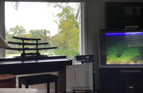 Shorewood House | 1 room1 bath min.30 days in a multi room house. More rooms available.