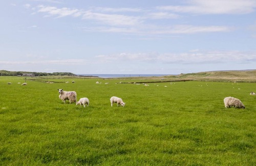 Hunspow Cottage | 1 THURDISTOFT FARM COTTAGE, pet friendly, with open fire in Thurso