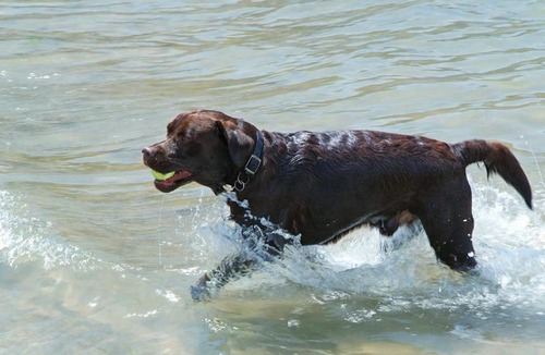 Burgh Island House | 1 Thurlestone Rock