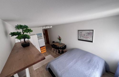 Sandrain Apartment | 1-Zimmer Wohnung Marzili Bern
