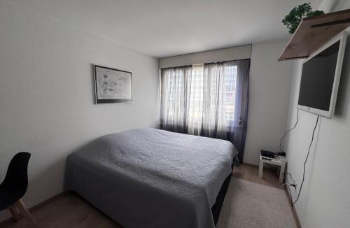 Sandrain Apartment | 1-Zimmer Wohnung Marzili Bern