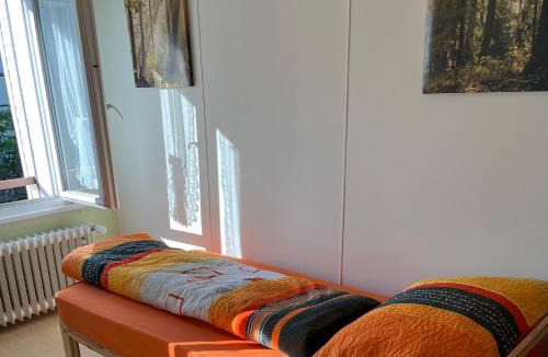 Haslen Apartment | 10 - Gästehaus Erika - Hundwil - Appenzellerland