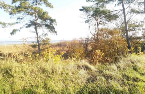 Nørre Hurup House | 10 person holiday home in Hadsund-By Traum