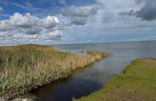 Ørsted House | 10 person holiday home in Ørsted