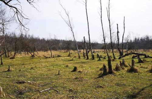 Dragor House | 10 person holiday home in Dragør-By Traum