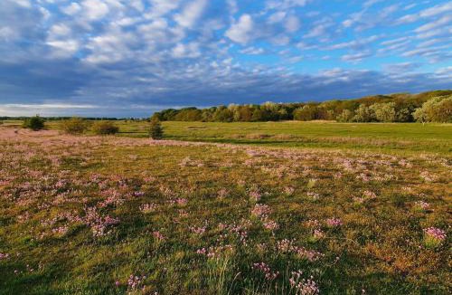 Dragor House | 10 person holiday home in Dragør-By Traum