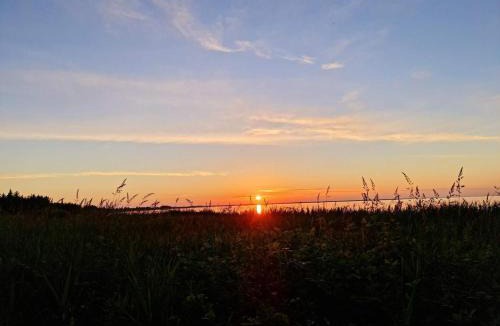 Øby House | 10 person holiday home in Ulfborg-By Traum