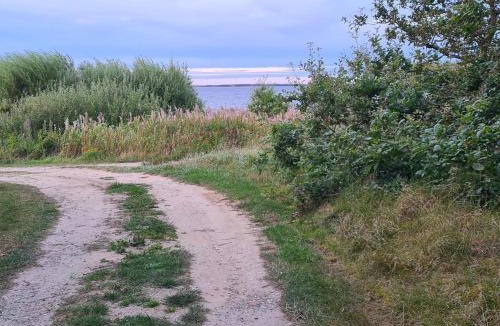 Øby House | 10 person holiday home in Ulfborg-By Traum