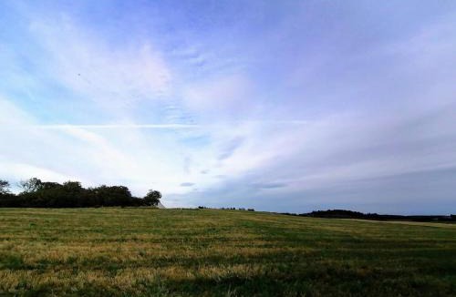 Grønhøj House | 10 person holiday home in Løkken-By Traum
