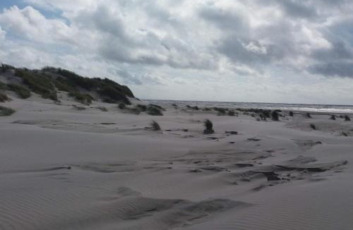 Grærup Strand House | 10 person holiday home in Oksbøl-By Traum
