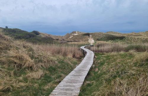 Grønhøj House | 10 person holiday home in Saltum-By Traum