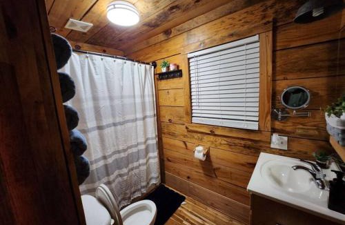 Guntersville Ski Chalet | 10. swan creek cabin