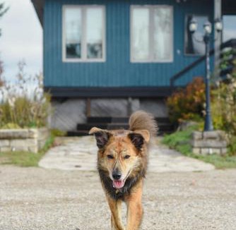 Tobermory House | 100 Acre Lodge in Tobermory
