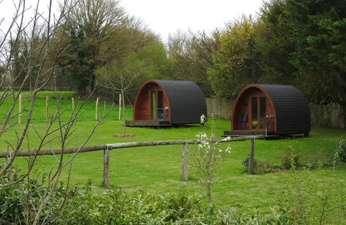 Monthoiron Cabin | 100% Nature "Nest 1" notebook near the Futuroscope