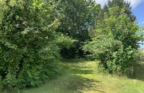 ster Assels House | 104 m2. Skønt Nyrenoveret Sommerhus
