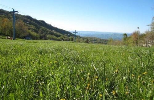 Beech Mountain House | 112 Skiway