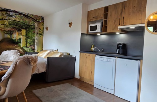 Flumet Apartment | '12 MN Megève Studio Comfort' with Mountain View