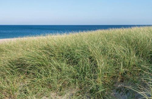 Vrist Strand House | 12 person holiday home in Harboøre-By Traum