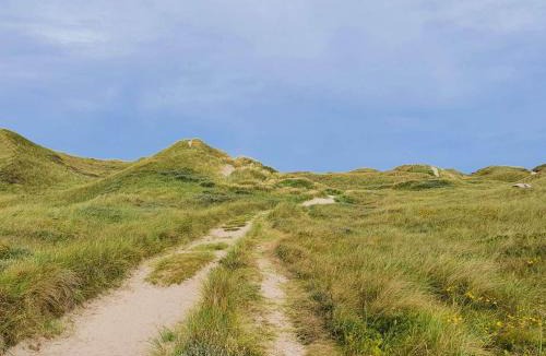 Øby House | 12 person holiday home in Ulfborg-By Traum