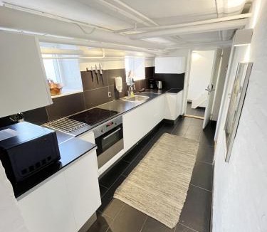 Aalborg Midtby Apartment | 130m2 Lux Apartment on the pedestrian street