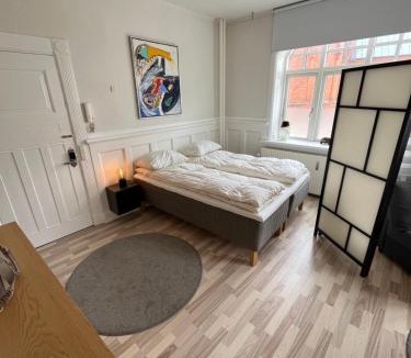 Aalborg Midtby Apartment | 130m2 Lux Apartment on the pedestrian street