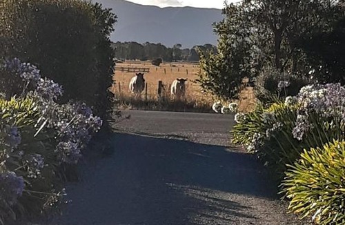 Greytown Bed & Breakfast | 15 On Wards