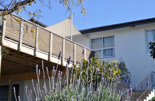New Plymouth Bed & Breakfast | 16 Havelock