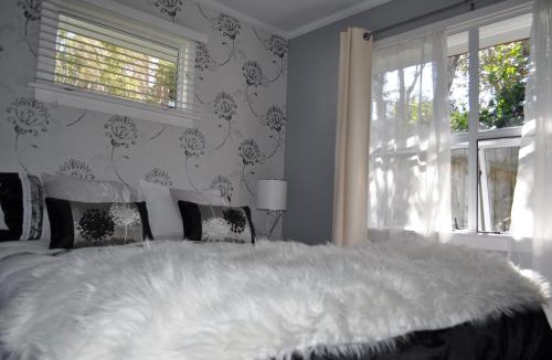 New Plymouth Bed & Breakfast | 16 Havelock