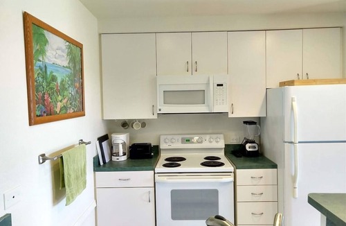 Punaluu Condo | #17 Large 1/1 Condo | 1 Bed, 1 Bath