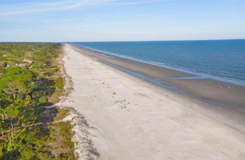 Oceanside House | 17 Spotted Sandpiper