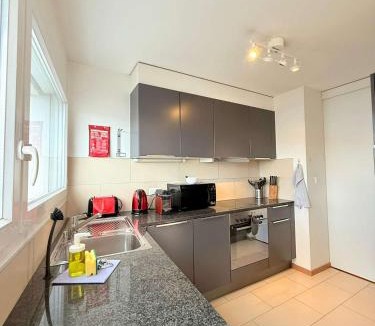Lausanne Apartment | 178 Good location spacious and free parking included