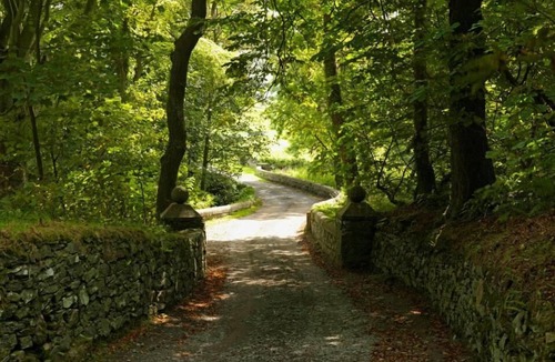 Llanfaethlu Cabin | 18 'Izar' Bell Tent Glamping Anglesey