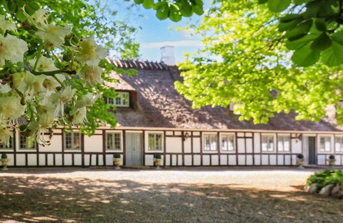 Ronæs House | 18 person holiday home in Nørre Aaby