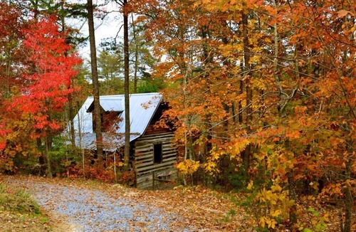 Mentone Cabin | 1800's Original Cozy Romantic Cabin For 2 Or The Family