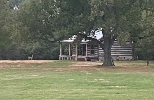Montgomery Cabin | 1800’s style log cabin with modern amenities