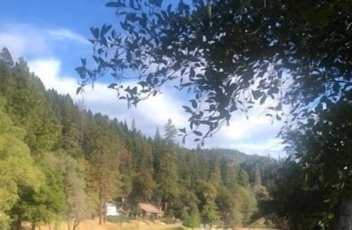 Douglas City House | 184 On The River