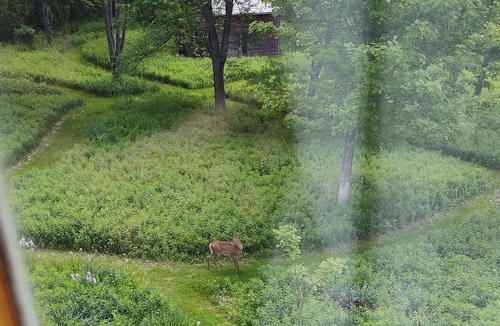 Williamstown House | 1880s Home with a Postcard View