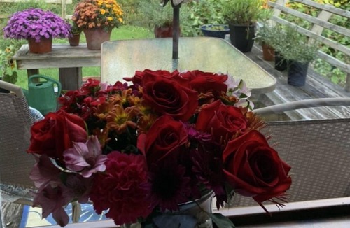 Williamstown House | 1880s Home with a Postcard View