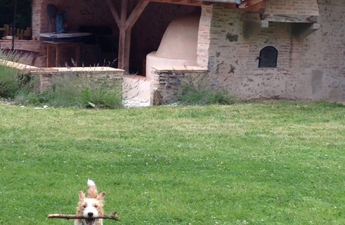 Arjuzanx House | 18th century barn, exceptional site, swimming pool, 35mn from the Ocean
