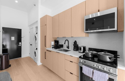 Ukrainian Village Apartment | 19-4D 2BR 1Bath Luxury Apt East Village