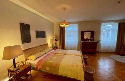 Locarno Apartment | 1912 - Wooden Room apartment - old town