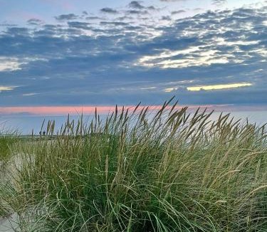 Skagen House | 1930S Family Holiday Home In Skagen